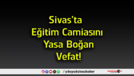 yasa