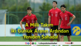 yeniden