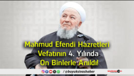 yılınd