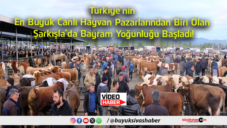 yoğunlu