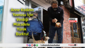 yüreksa