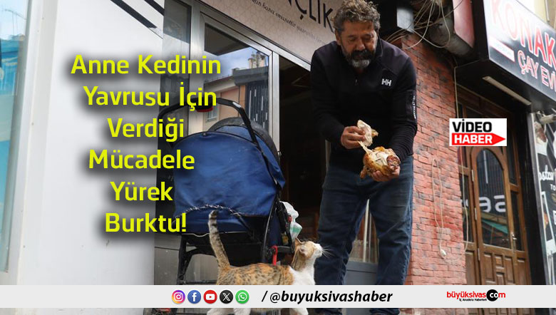 yüreksa