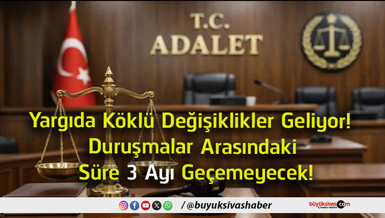 3 ayı