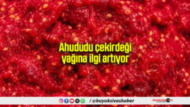 Ahududu çekirdeği