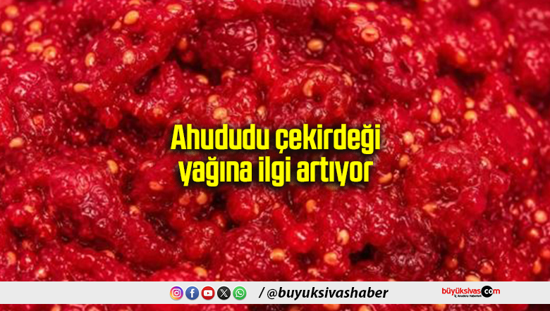 Ahududu çekirdeği