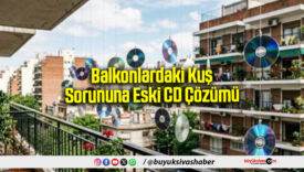 Balkonlardaki Kuş
