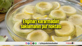 Enginarı kararmadan