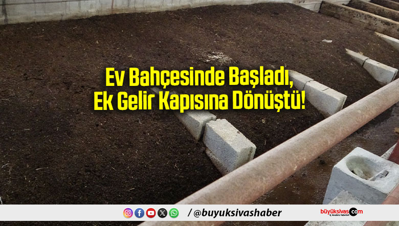 Ev Bahçesinde Başladı