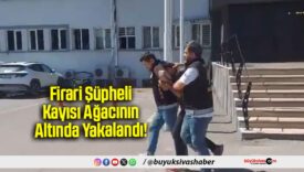 Firari Şüpheli Kayısı
