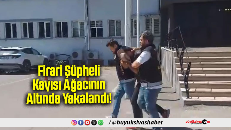 Firari Şüpheli Kayısı