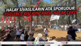 HALAY