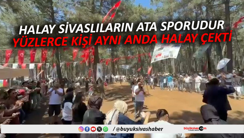 HALAY
