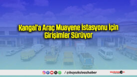Kangal’a Araç Muayene