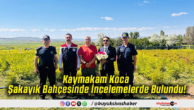 Kaymakam Koca Şakayık Bahçesinde İncelemelerde Bulundu!