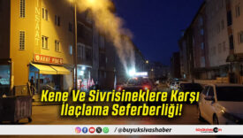 Kene Ve Sivrisineklere Karşı İlaçlama Seferberliği!