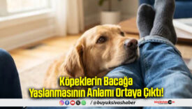 Köpeklerin Bacağa