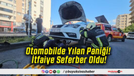 Otomobilde Yılan Paniği! İtfaiye Seferber Oldu!