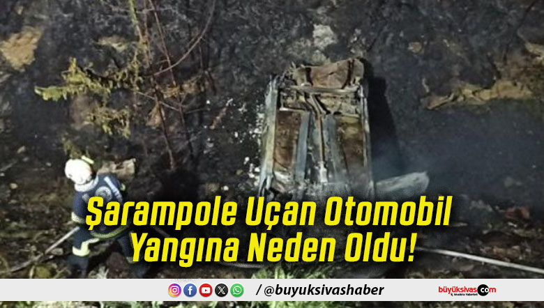 Şarampole Uçan Otomobil Yangına Neden Oldu!