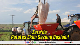 Zara'da Patates Ekim Sezonu Başladı!