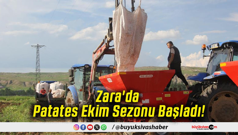 Zara'da Patates Ekim Sezonu Başladı!