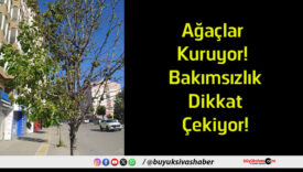 ağaç