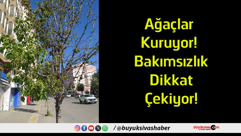 ağaç
