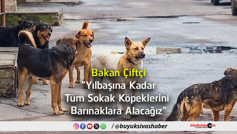 alacağız