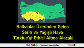 alacak