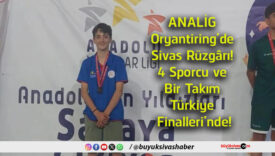 analig