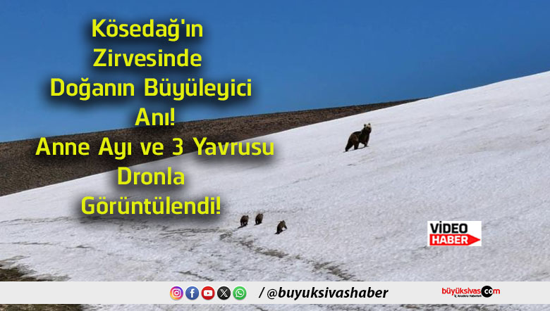 anne