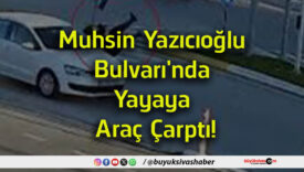 araç