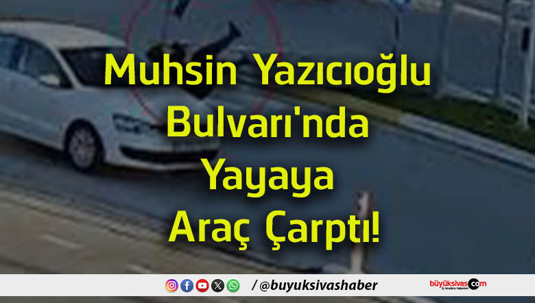 araç