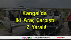araç