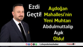 ayık