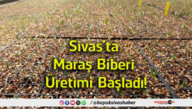 başladı
