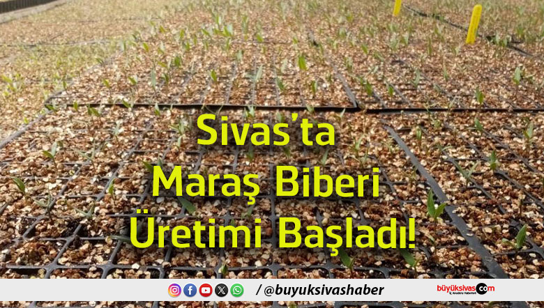 başladı