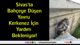 bekleniyor