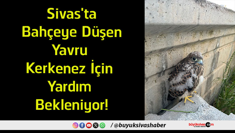bekleniyor