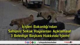 belediye