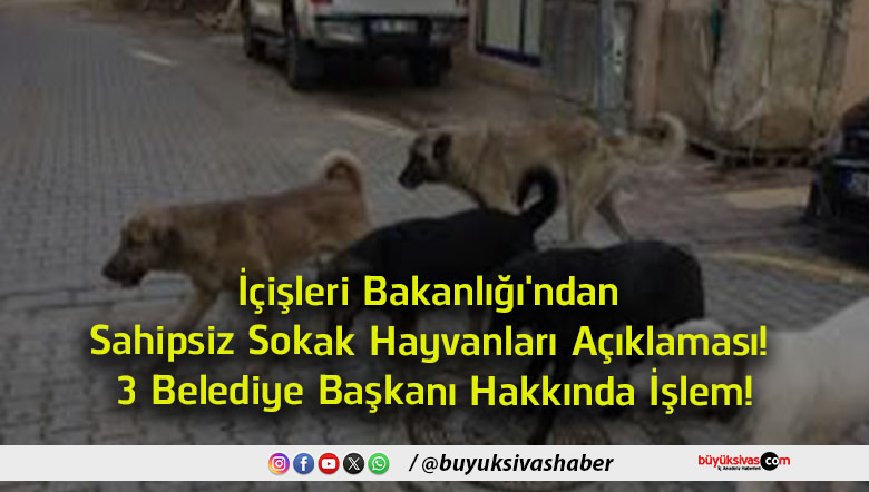 belediye