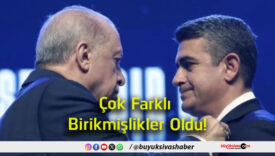 birikmişler
