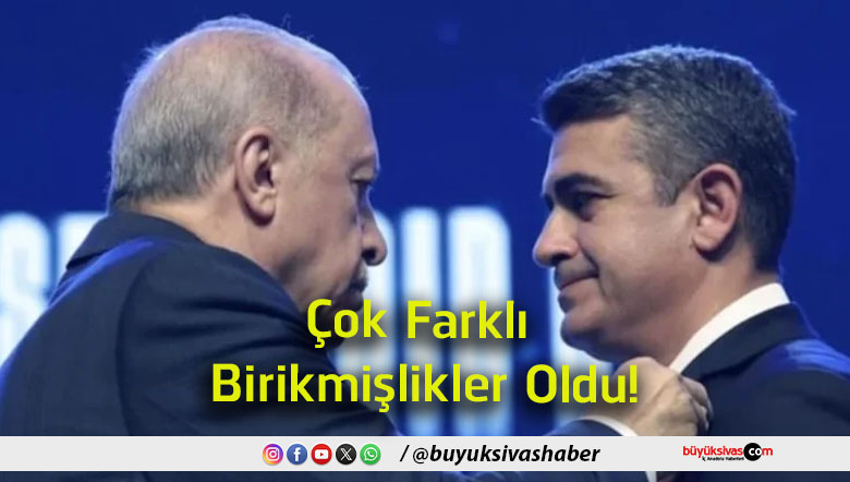 birikmişler