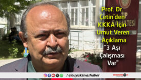 çalışması