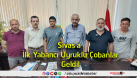 çobanlar