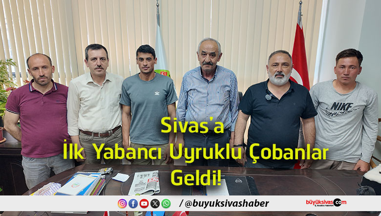 çobanlar