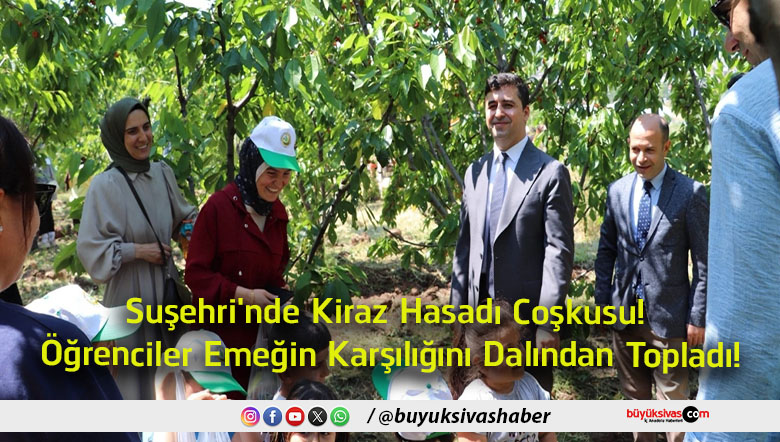 dalından