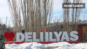 delilyas resmi ilan kapak
