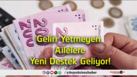destek