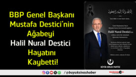 destici