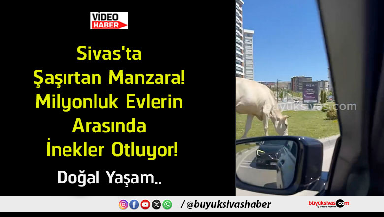 doğal